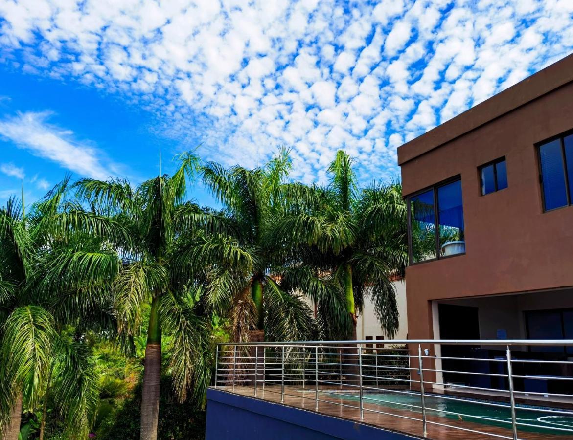 לואי טריכארט Schimper View Boutique Guest House מראה חיצוני תמונה